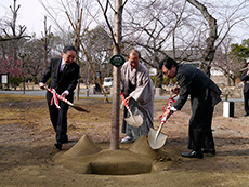 元離宮二条城植樹式